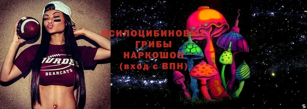 spice Ладушкин