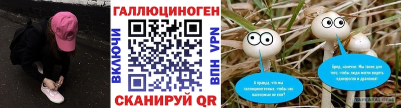 Псилоцибиновые грибы мицелий  Чаплыгин 